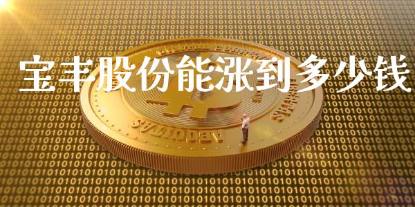 宝丰股份能涨到多少钱_https://wap.78312.cn_期货开户_第1张
