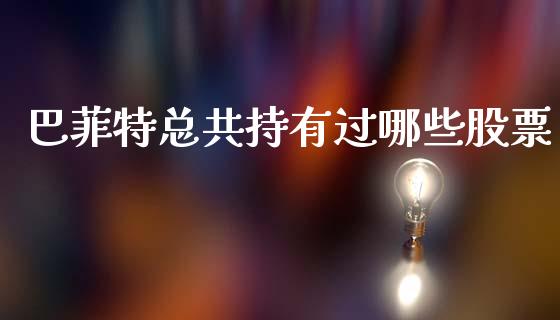 巴菲特总共持有过哪些股票_https://wap.78312.cn_期货开户_第1张