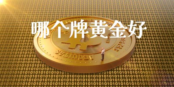 哪个牌黄金好_https://wap.78312.cn_期货开户_第1张