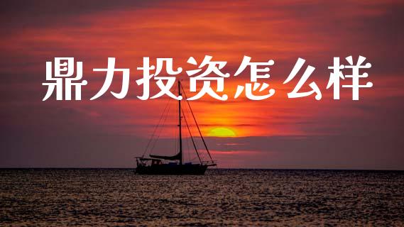 鼎力投资怎么样_https://wap.78312.cn_期货开户_第1张
