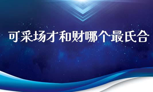 可采场才和财哪个最氏合_https://wap.78312.cn_债券资讯_第1张
