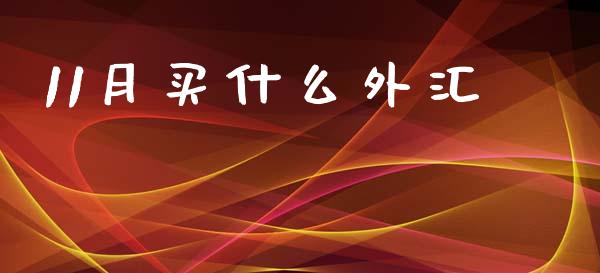 11月买什么外汇_https://wap.78312.cn_期货开户_第1张