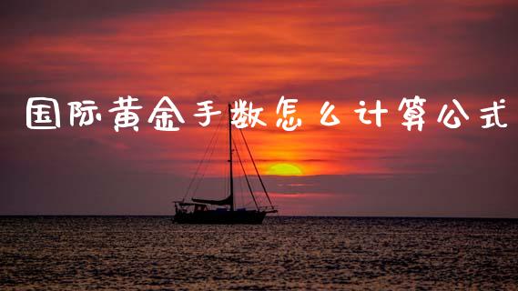 国际黄金手数怎么计算公式_https://wap.78312.cn_期货开户_第1张