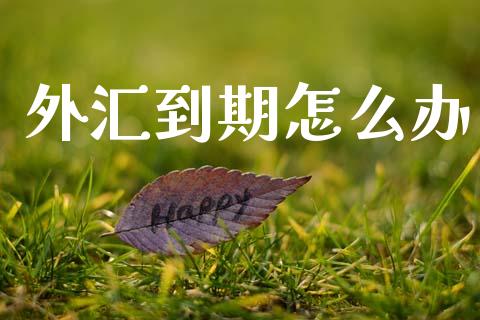 外汇到期怎么办_https://wap.78312.cn_金融监管_第1张