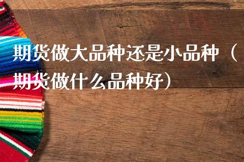 期货做大品种还是小品种(期货做什么品种好)_财经新闻_第1张_期货开户_金融监管_外汇交易_债券资讯_全球市场_财经新闻 期货做大品种还是小品种(期货做什么品种好)_https://wap.78312.cn_财经新闻_第1张