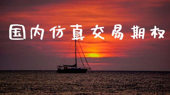 国内仿真交易期权_https://wap.78312.cn_债券资讯_第1张