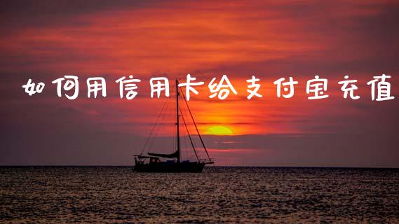 如何用信用卡给支付宝充值_https://wap.78312.cn_全球市场_第1张