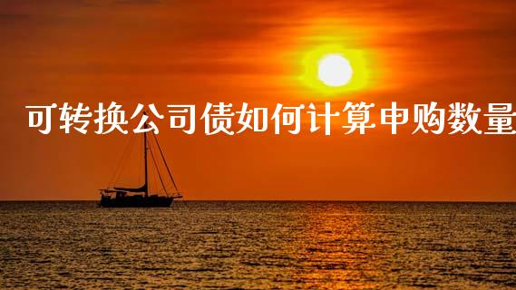 可转换公司债如何计算申购数量_https://wap.78312.cn_财经新闻_第1张