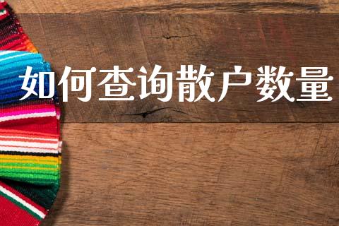 如何查询散户数量_https://wap.78312.cn_债券资讯_第1张