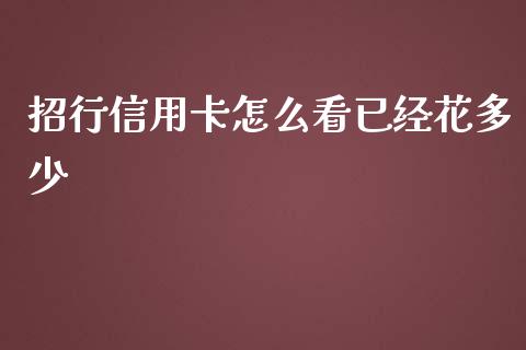 招行信用卡怎么看已经花多少_https://wap.78312.cn_金融监管_第1张