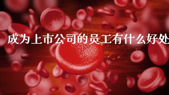 成为上市公司的员工有什么好处_https://wap.78312.cn_财经新闻_第1张