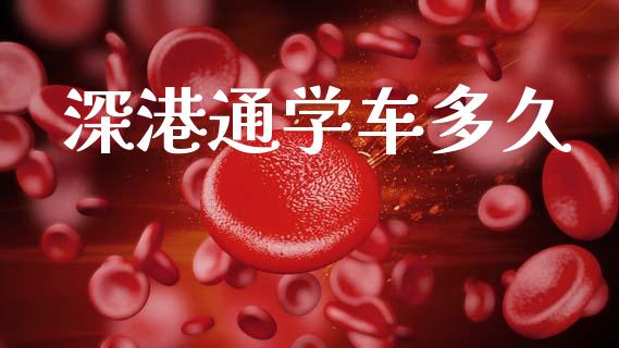 深港通学车多久_https://wap.78312.cn_全球市场_第1张