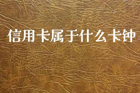 信用卡属于什么卡钟_https://wap.78312.cn_期货开户_第1张