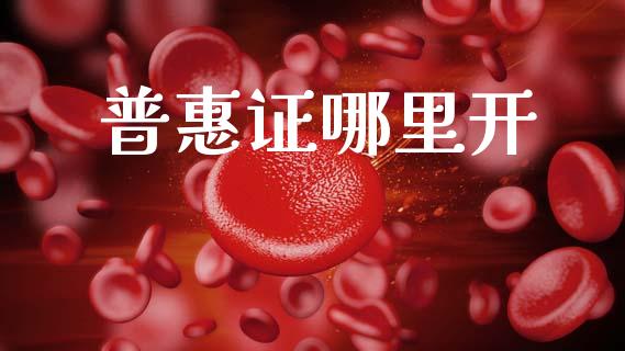 普惠证哪里开_https://wap.78312.cn_债券资讯_第1张