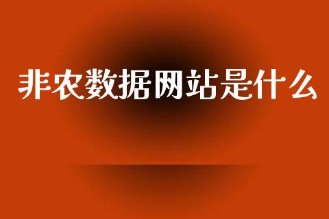 非农数据网站是什么_https://wap.78312.cn_财经新闻_第1张