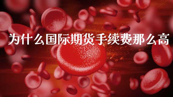 为什么国际期货手续费那么高_https://wap.78312.cn_财经新闻_第1张