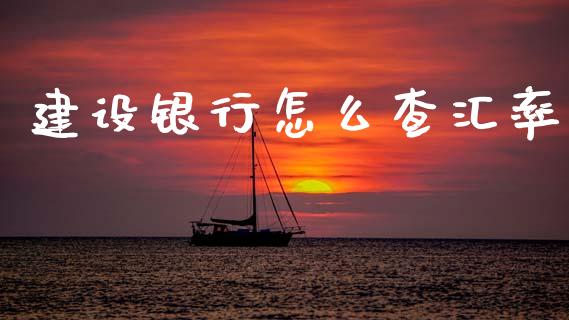 建设银行怎么查汇率_https://wap.78312.cn_期货开户_第1张