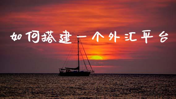 如何搭建一个外汇平台_https://wap.78312.cn_期货开户_第1张