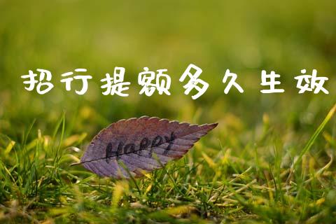 招行提额多久生效_https://wap.78312.cn_财经新闻_第1张