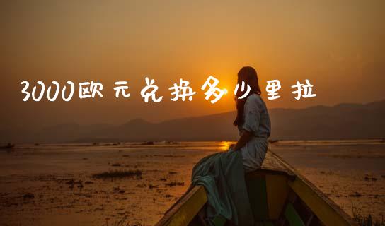 3000欧元兑换多少里拉_https://wap.78312.cn_金融监管_第1张