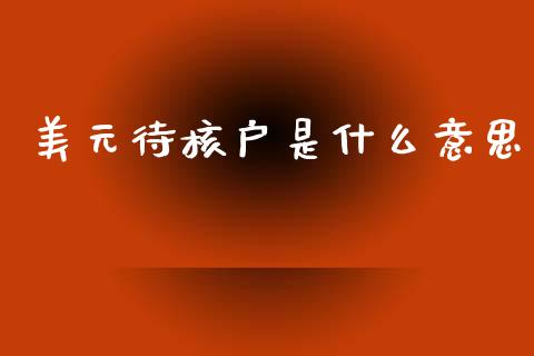 美元待核户是什么意思_https://wap.78312.cn_金融监管_第1张