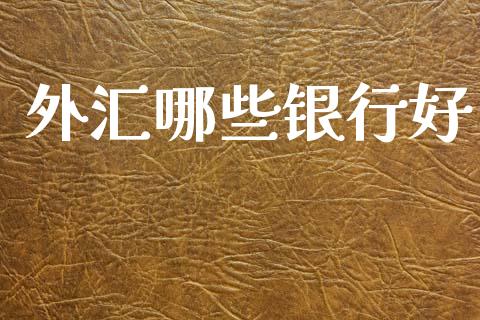 外汇哪些银行好_https://wap.78312.cn_债券资讯_第1张
