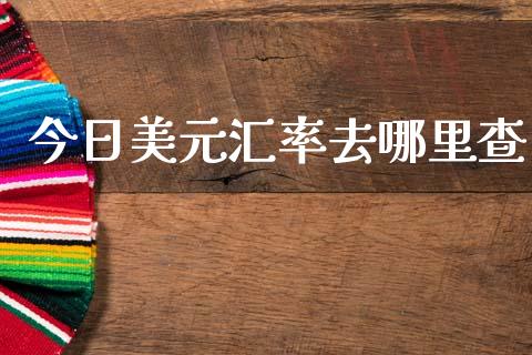 今日美元汇率去哪里查_https://wap.78312.cn_金融监管_第1张