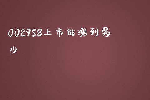 002958上市能涨到多少_https://wap.78312.cn_全球市场_第1张