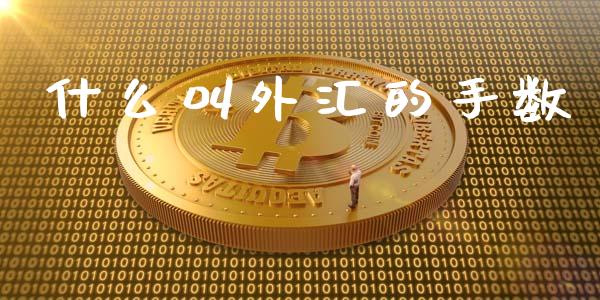 什么叫外汇的手数_https://wap.78312.cn_全球市场_第1张