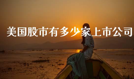 美国股市有多少家上市公司_https://wap.78312.cn_全球市场_第1张