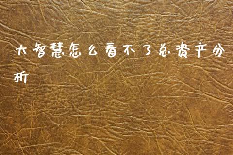 大智慧怎么看不了总资产分析_https://wap.78312.cn_期货开户_第1张