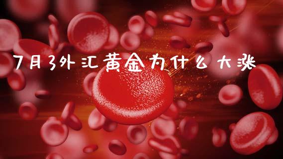 7月3外汇黄金为什么大涨_https://wap.78312.cn_财经新闻_第1张