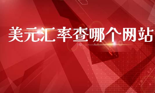 美元汇率查哪个网站_https://wap.78312.cn_外汇交易_第1张
