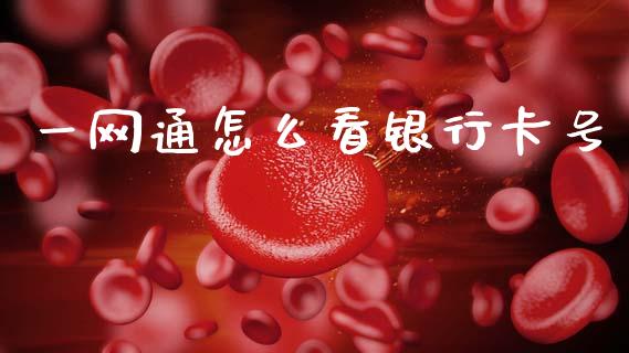 一网通怎么看银行卡号_https://wap.78312.cn_外汇交易_第1张