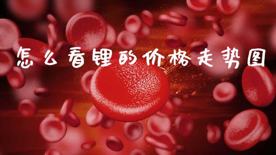 怎么看锂的价格走势图_https://wap.78312.cn_期货开户_第1张