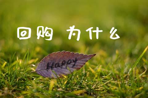 回购 为什么_https://wap.78312.cn_金融监管_第1张