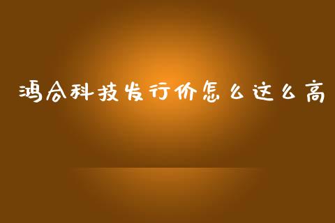 鸿合科技发行价怎么这么高_https://wap.78312.cn_财经新闻_第1张