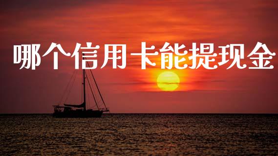哪个信用卡能提现金_https://wap.78312.cn_债券资讯_第1张