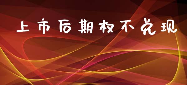 上市后期权不兑现_https://wap.78312.cn_财经新闻_第1张