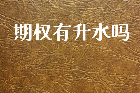 期权有升水吗_https://wap.78312.cn_期货开户_第1张