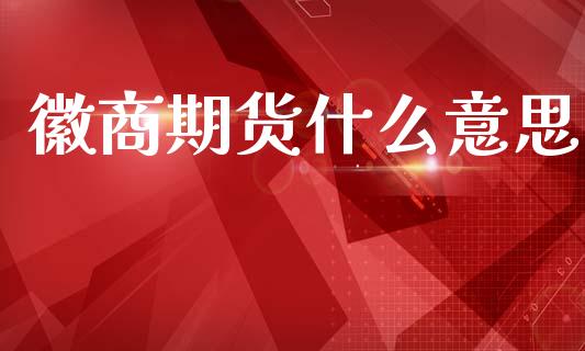 徽商期货什么意思_https://wap.78312.cn_债券资讯_第1张