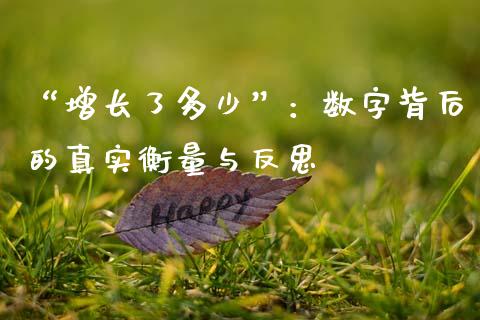 “增长了多少”：数字背后的真实衡量与反思_https://wap.78312.cn_债券资讯_第1张