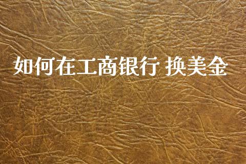 如何在工商银行 换美金_https://wap.78312.cn_财经新闻_第1张