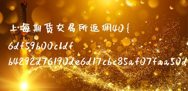 上海期货交易所返佣40%_https://wap.78312.cn_外汇交易_第1张