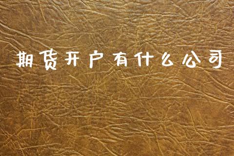 期货开户有什么公司_https://wap.78312.cn_金融监管_第1张