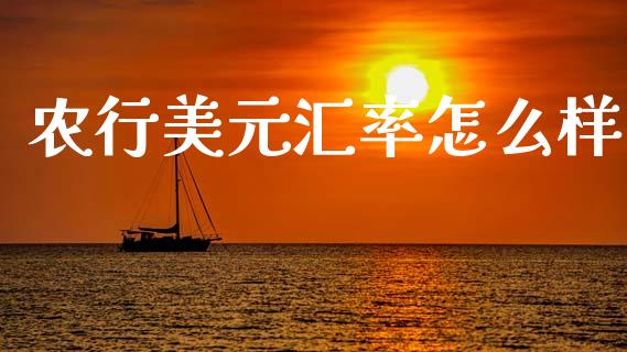 农行美元汇率怎么样_https://wap.78312.cn_全球市场_第1张