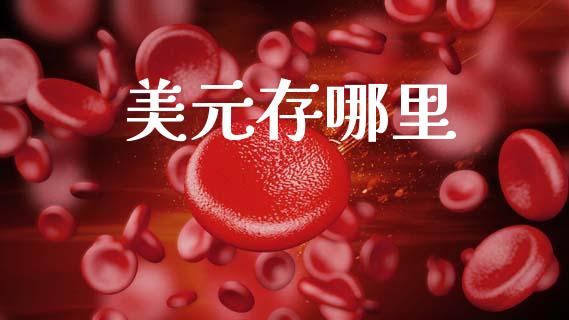 美元存哪里_https://wap.78312.cn_金融监管_第1张