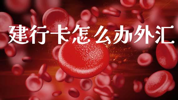 建行卡怎么办外汇_https://wap.78312.cn_财经新闻_第1张