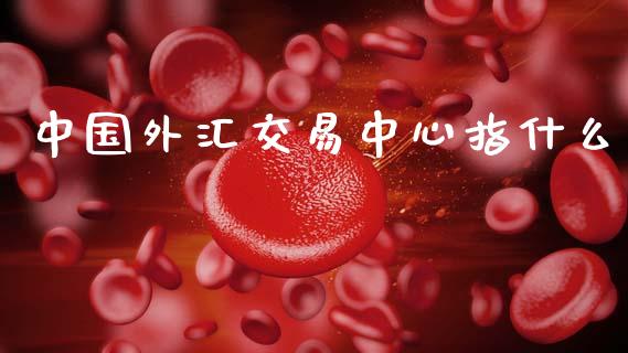 中国外汇交易中心指什么_https://wap.78312.cn_财经新闻_第1张