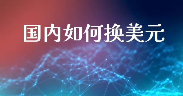 国内如何换美元_https://wap.78312.cn_债券资讯_第1张